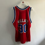 Cargar imagen en el visor de la galería, Washington Bullets Rasheed Wallace Champion jersey - Large
