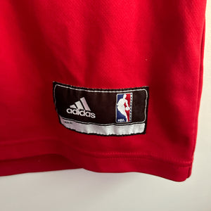 Chicago Bulls Derrick Rose Adidas jersey - Large