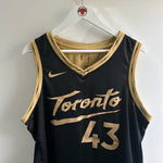 Load image into Gallery viewer, Toronto Raptors Paskal Siakham Nike jersey - XL
