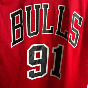 Chicago Bulls Dennis Rodman Champion jersey - Medium