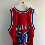 Cargar imagen en el visor de la galería, Washington Bullets Rasheed Wallace Champion jersey - Large
