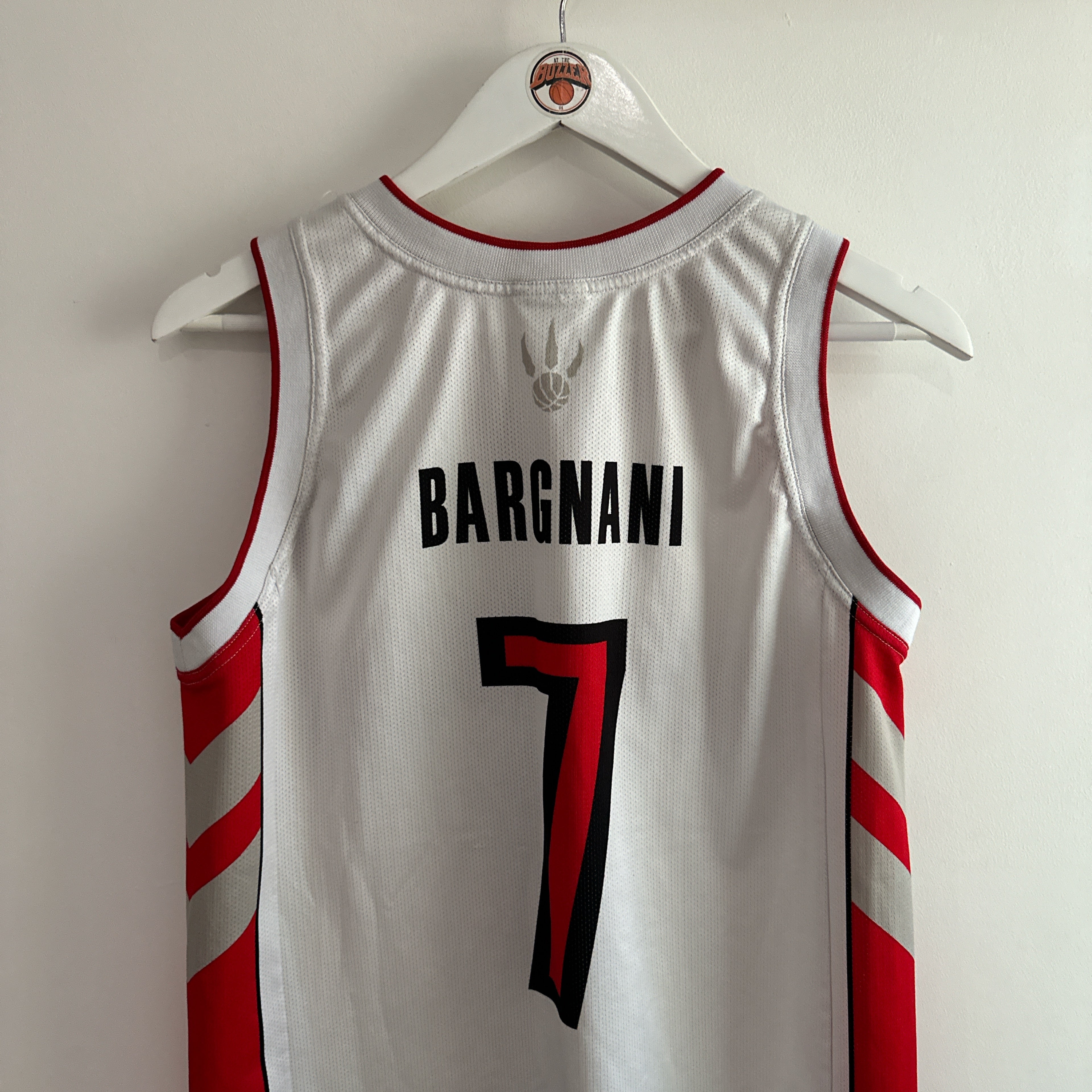 Toronto Raptors Andrea Bargnani Champion jersey - Small